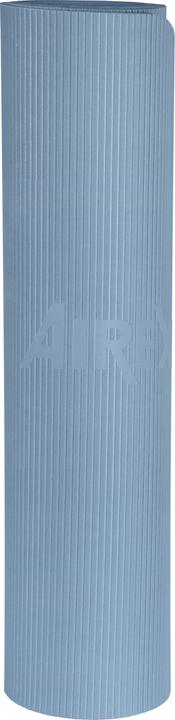 Image du produit Airex TrExercice 180 (8 mm)