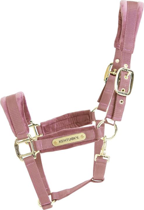 Kentucky Horsewear Licol velvet