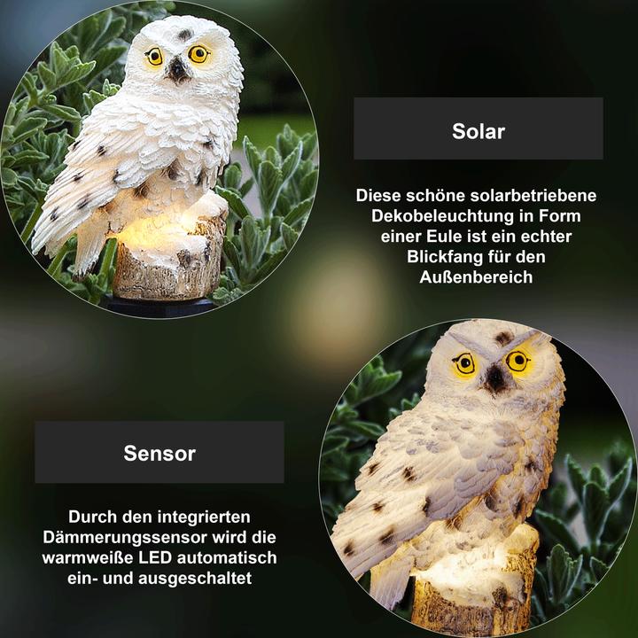 Actual product image Star Trading Owl (IP44)