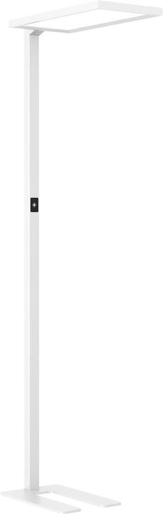 Actual product image Dotlux LED floor lamp ROOFbutler (8800 lm)
