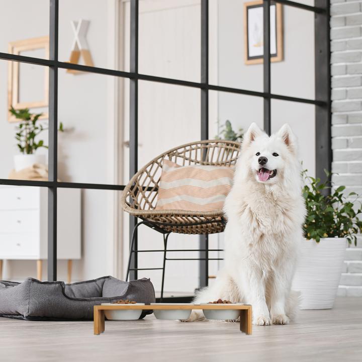 Produktbild Relaxdays Hunde-Futterstation (0.40 l)
