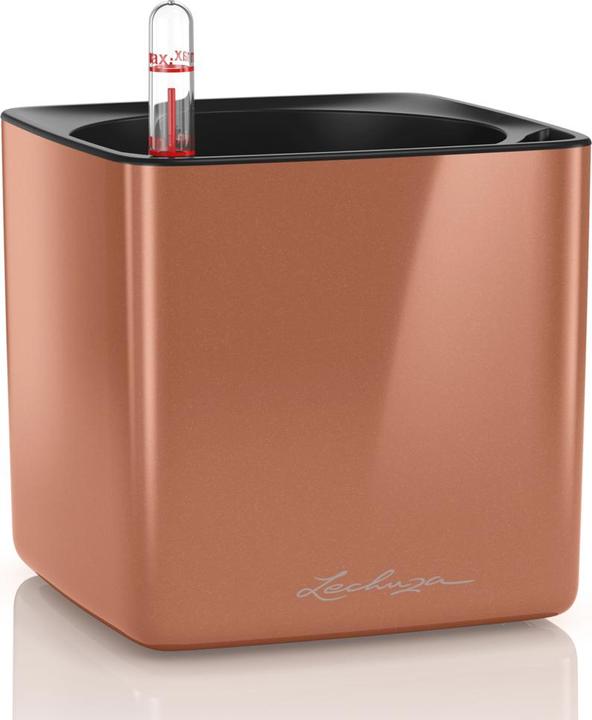 Lechuza Cube Glossy (14 cm)