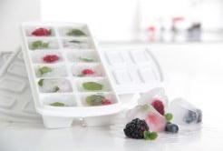 Actual product image Plast team Ice cube mould, with lid, white