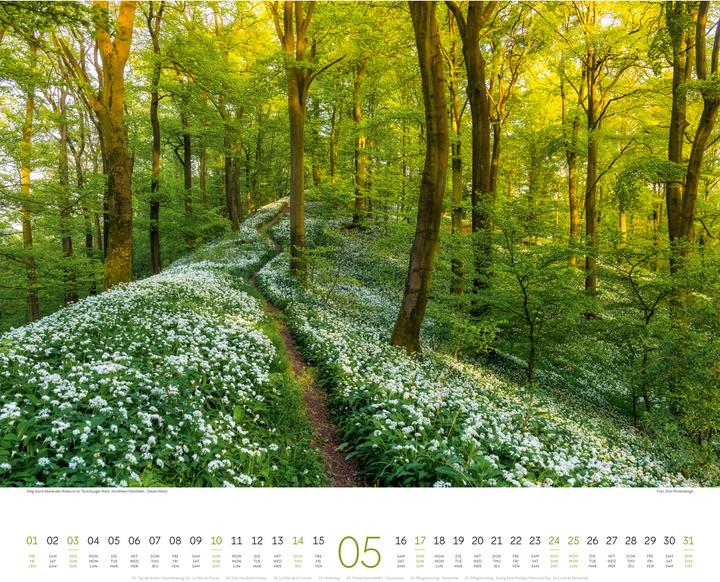 Image du produit Wege Kalender 2026 (54 x 48 cm, Couverture rigide, Allemand, Anglais, Français)