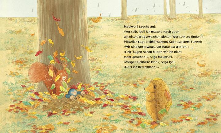 Produktbild Das schönste Geschenk der Welt - Ein Pappbilderbuch über wahre Freundschaft (Deutsch, Jonathan Emmett, 2022)