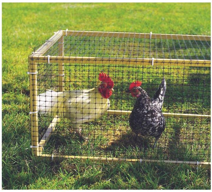 Image du produit Intermas Clôture pour animaux Avinet 90