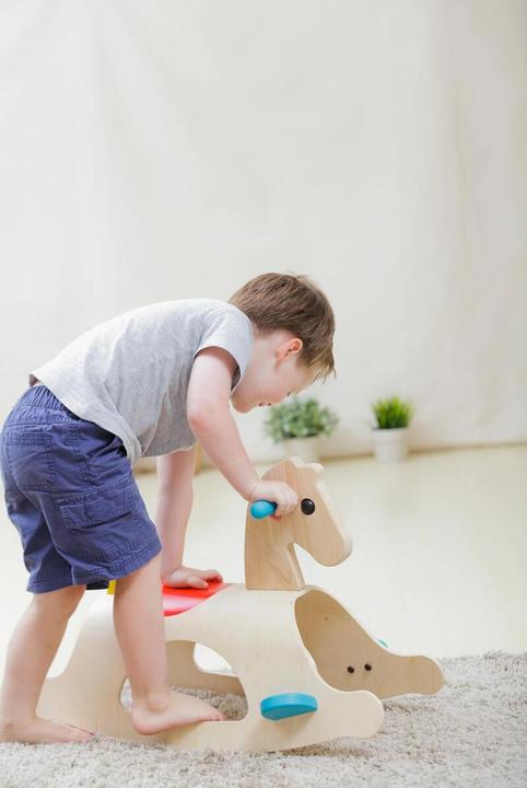 Actual product image Plantoys Rocking horse Palomino