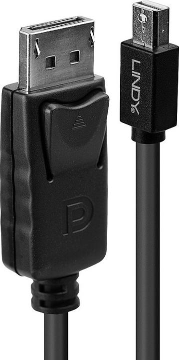 Image du produit Lindy Mini DisplayPort — DisplayPort (2 m, DisplayPort)