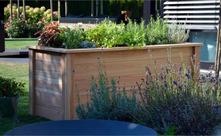Actual product image Dobar Douglas fir