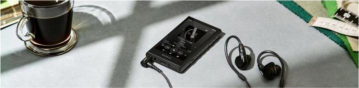 Actual product image Sony NW-A306 (18 GB)