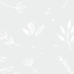 Produktbild Heyda Transparentpapier "Blätter", 50 x 70 cm (115 g/m², 1 x)