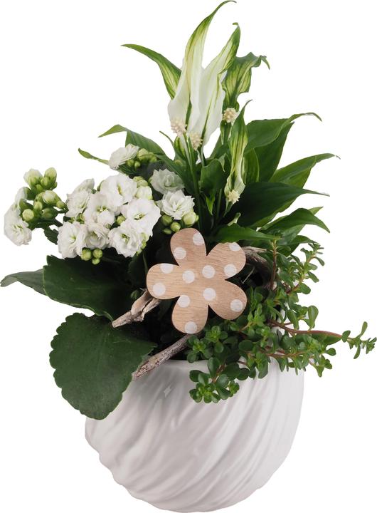 Actual product image Migros Ostschweiz Pot arrangement large (32 cm)