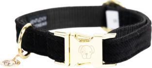 Produktbild Kentucky Dogwear Hundehalsband corduroy (XS, Hund)