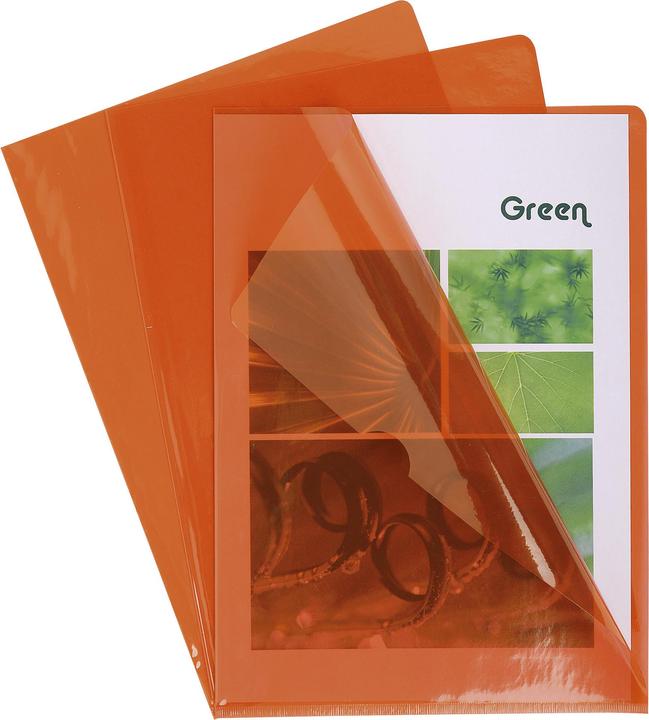 Actual product image Exacompta Sleeves and bags (A4, 100 x)