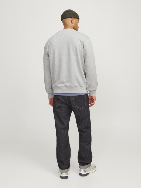 Produktbild Jack & Jones RDD Gedruckt Sweatshirt Sweatshirt (S)