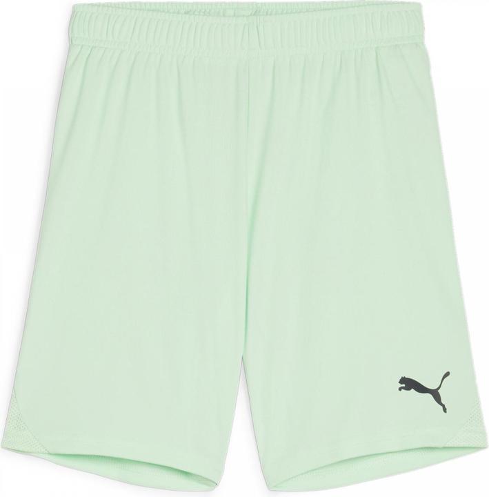 Actual product image Puma teamGOAL Shorts Jr (116)