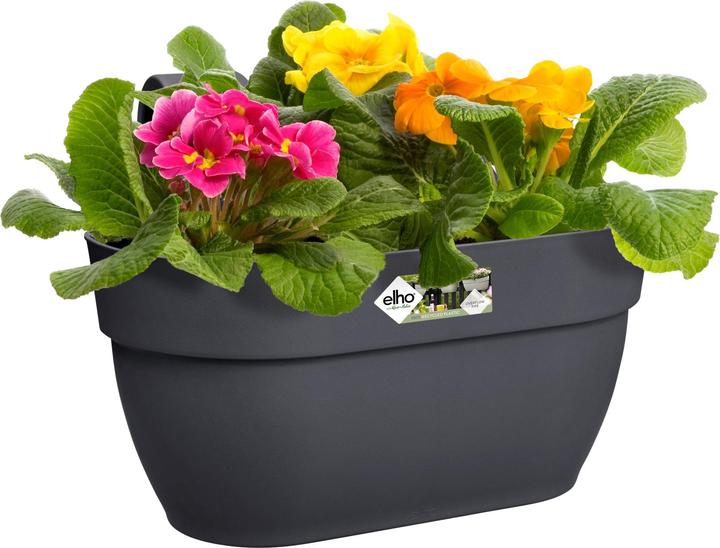 Actual product image Elho Flower Bowl (36 cm)