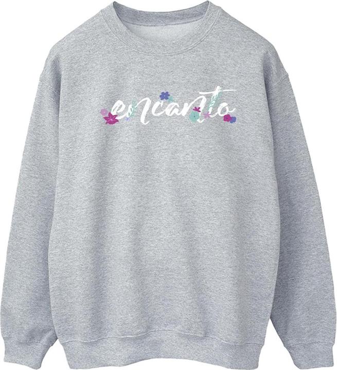 Disney Encanto Logo Sweatshirt (XL)