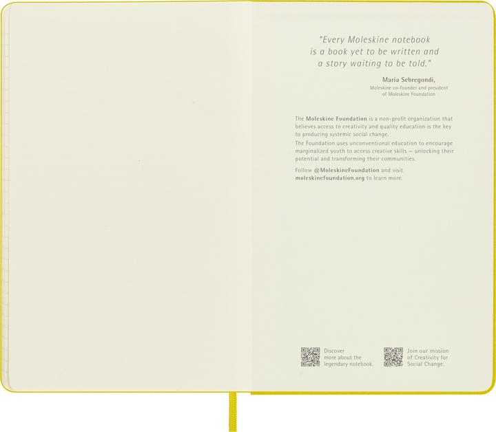 Actual product image Moleskine COLOR - notebooks (13 x 21 cm, Lined)