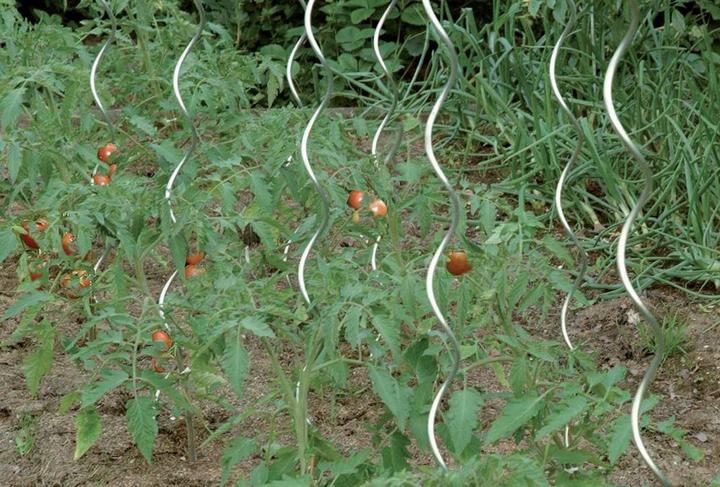 Immagine prodotto Floraworld Palo a spirale per pomodori 180 cm zincato (180 cm)