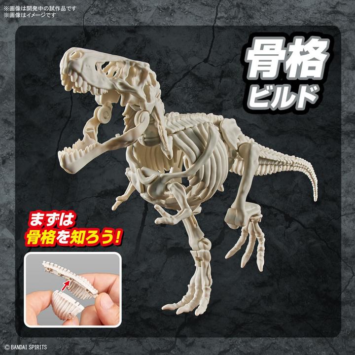 Actual product image Bandai DINOSAUR - New Dinosaur Plastic Tyrannosaurus (Tentative) - Model Kit