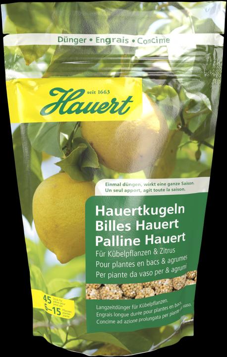 Hauert Palline di schiumarola per piante in vaso (0.21 kg)