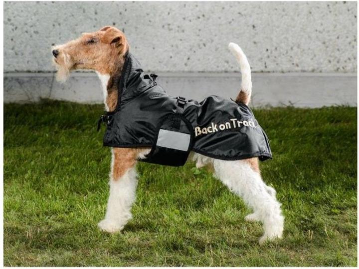 Produktbild Back on Track Winter coat 55 cm - (734004110628) (55, Hundemantel)
