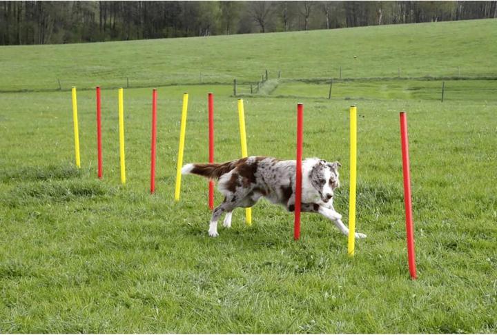 Produktbild Kerbl Komplett-Set (One Size, Agility)