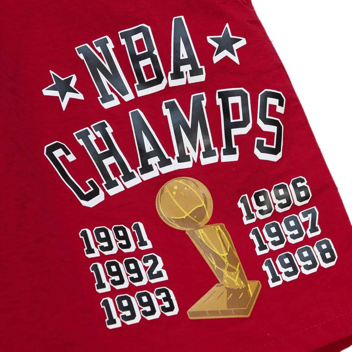 Actual product image Mitchell & Ness M&N Team Heritage Woven Shorts Chicago Bulls - L (L)