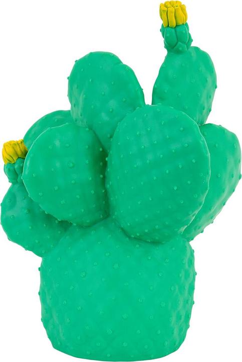 Image du produit Goodnight Light Cactus