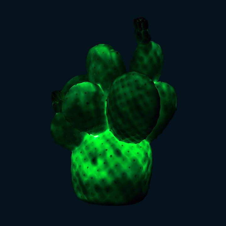 Image du produit Goodnight Light Cactus