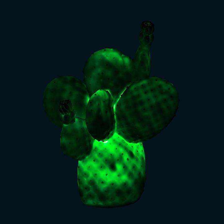 Image du produit Goodnight Light Cactus