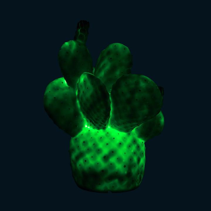 Image du produit Goodnight Light Cactus