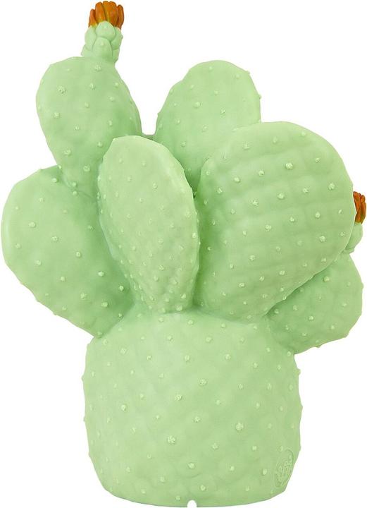 Goodnight Light cactus