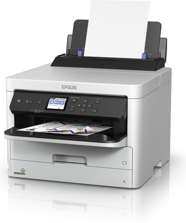 Immagine prodotto Epson Inchiostro C13T01C100 Nero XL (FC)