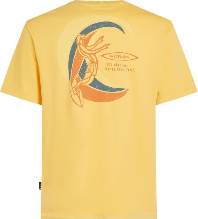 Actual product image O'Neill O'Riginals Vintage Graphic T-Shirt (S)