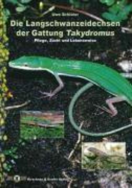 The long-tailed lizards of the genus Takydromus (German, Uwe Schlüter, 2003)