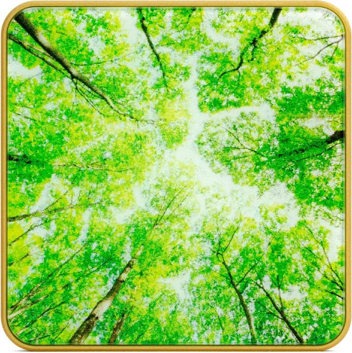 Actual product image NoName Smart Home Air Quality Sensor/Gold/Tree Airv-Tree