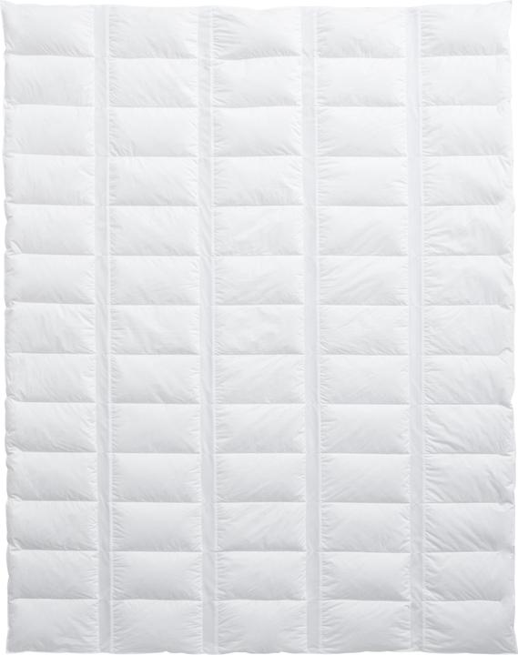 Immagine prodotto Billerbeck Climabalance (200 g, 160 x 210 cm)