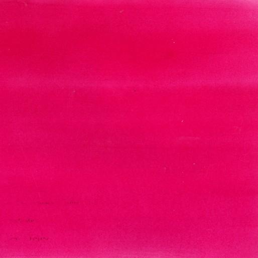 Immagine prodotto Pebeo Inchiostro ad acqua Colorex (rosa canina, 45 ml)