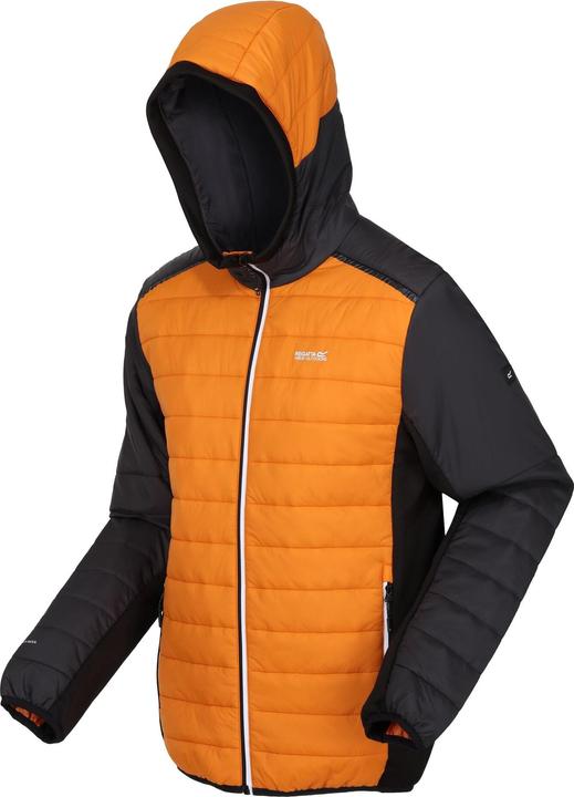 Produktbild Regatta Trutton II Steppjacke (M)