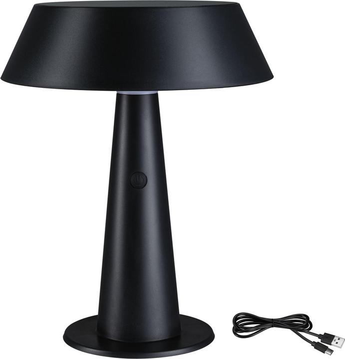 Paulmann Solar table lamp Soala (320 lm)