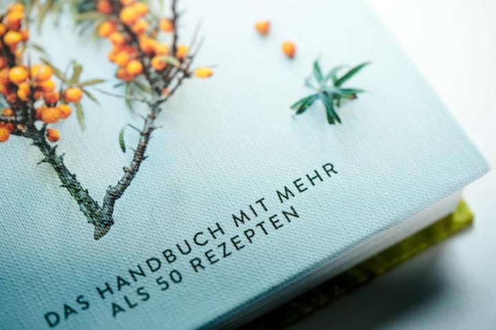 Produktbild Wildpflanzen essen (Deutsch, Leoniek Bontje, Yvet Noordermeer, 2020)