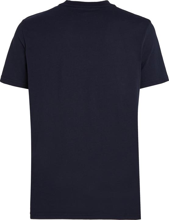 Actual product image Tommy Hilfiger T-shirt for men (XL)