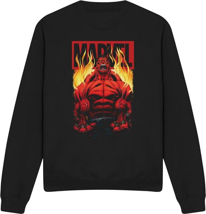 Sweatshirt (S)