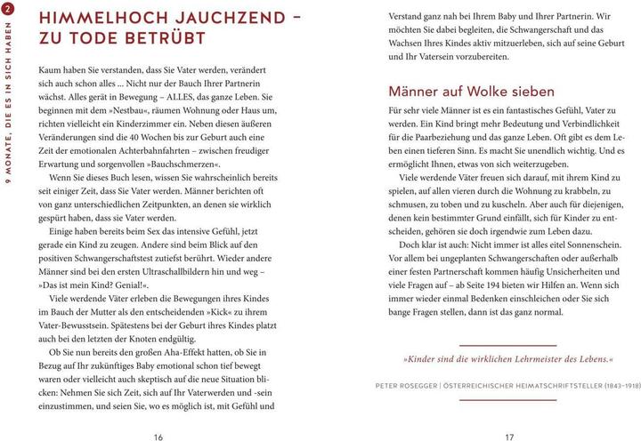 Produktbild Das Papa-Handbuch (Deutsch, Robert Richter, 2020)