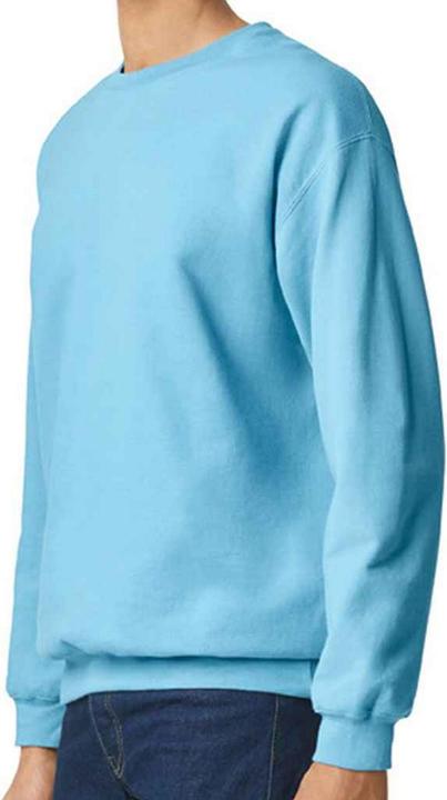 Immagine prodotto Gildan Softstyle Felpa Uomo (L)