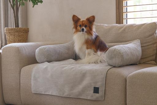 Image du produit Designed by Lotte Coussin de canapé Ribbed (Chien)
