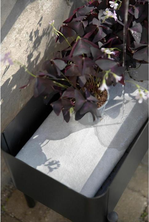 Productafbeelding Eva Solo - Simply Grow Pflanzenbox - Black - 53x80x33 cm (80 cm)