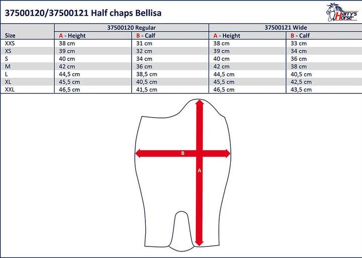 Actual product image Harry's Horse half chaps bellisa (XL)